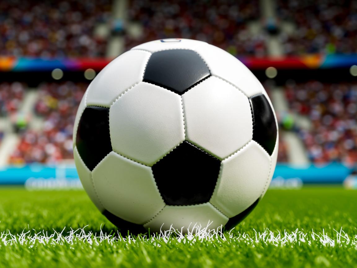 开云体育官网在线-“挑战自我，SHO-CHAN Run 2025赛道见证香港跑步新高峰”