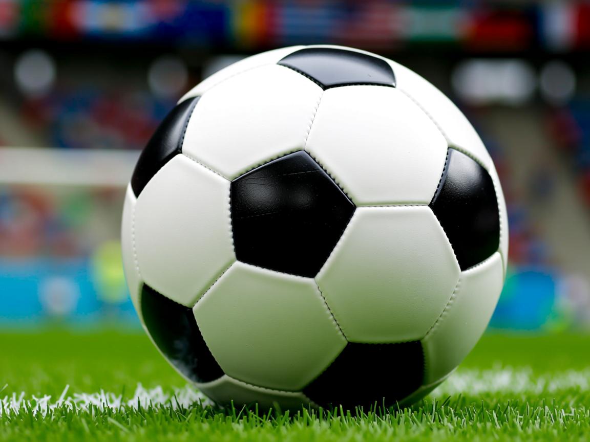 开云体育链接-冬奥筹备工作进入冲刺阶段 场馆建设基本完成，冬奥会筹备工作五个阶段  第2张